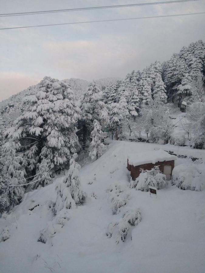 Hotel Green Orchid Udhampur エクステリア 写真