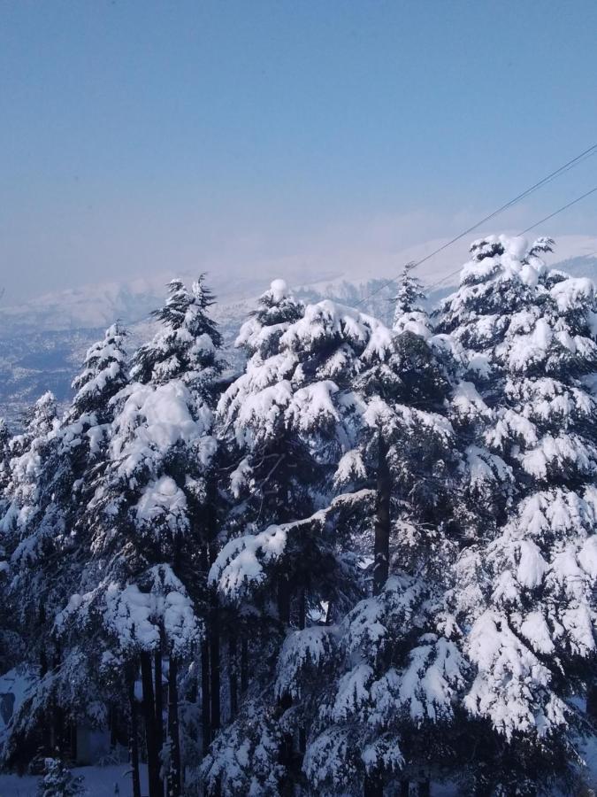 Hotel Green Orchid Udhampur エクステリア 写真